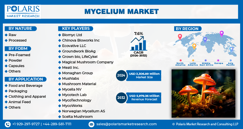 Mycelium